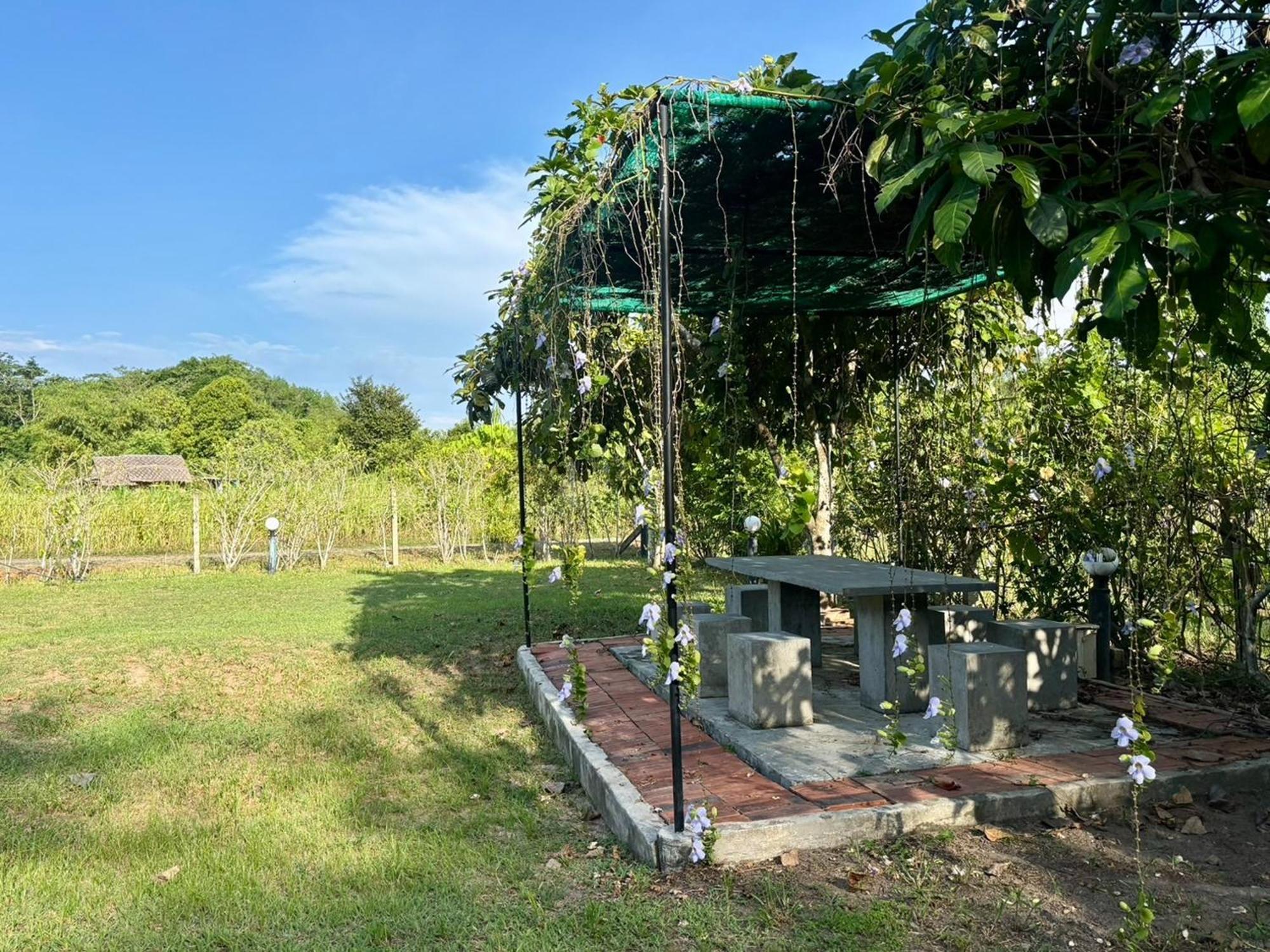 Pa Khlok Moonlight Cottage מראה חיצוני תמונה